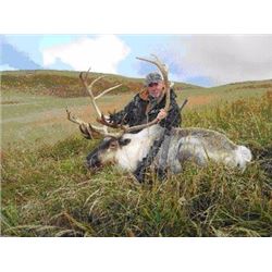 Aleutian Adventures – Alaska - Reindeer