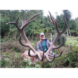 New Zealand - Kuranui –Silver Medal Red Stag