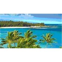 Hawaiian Islands Condo