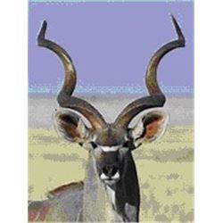 Namibia - Okarumuti Game Lodge – 2 Gemsbok, 2 Springbok, 2 Warthog, 1 Kudu, 1 Red Hartebeest, 1 Stee