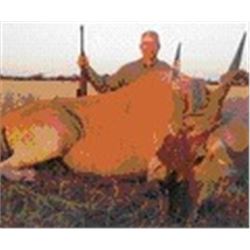 South Africa – Cabassa Safaris – Bird Shooting and Plains Game