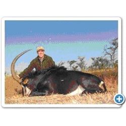 Mozambique - Mokore Safaris – Impala and Warthog