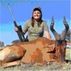 South Africa - Makhulu Game Lodge & Safaris – Plains Game