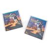 Image 1 : Back To The Future - Original Release Videodisc Set - 17761