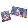 Image 3 : Back To The Future - Original Video Store Advance Promo Kit - 17649