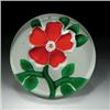 Image 1 : Antique Baccarat primrose paperweight, containing a single flower with five, white-edged, red pet...