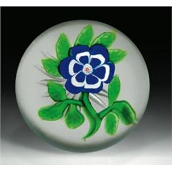 Antique Baccarat primrose paperweight, with a cobalt blue and white flower, having six petals, a...
