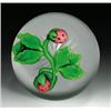 Image 1 : Antique Baccarat strawberry paperweight, with a pair of pink strawberries, growing on stems with...