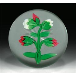 Antique Baccarat clematis buds paperweight, composed of two white buds and three pink and red bu...