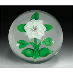 Antique Baccarat miniature white double clematis paperweight, with a white flower, having a star...