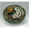 Image 1 : Delmo Tarsitano "earth-life" snake paperweight, with an unusual white latticinio snake, having a...
