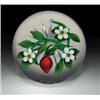 Image 1 : Delmo Tarsitano strawberry paperweight, containing a red strawberry, on a bright green vine with...