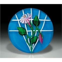 Charles Kaziun, Jr. convolvulus flower on fan trellis paperweight, composed of a white and pink...