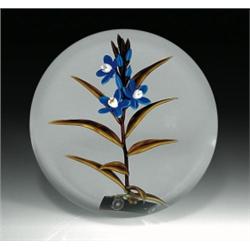 Chris Buzzini floral paperweight, where velvety stickseed, bright blue and white flowers, with b...
