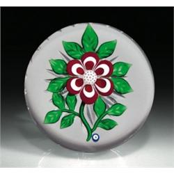 Bob Banford primrose paperweight, with a red and white primrose, a central star/honeycomb cane,...