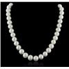 Image 1 : 14KT White Gold Pearl Necklace