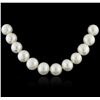 Image 2 : 14KT White Gold Pearl Necklace