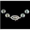 Image 2 : Tahitian Cultured Pearl Necklace with 14KT White Gold Diamond Clasp