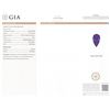 Image 7 : 14KT White Gold GIA Certified 31.37ct Tanzanite and Diamond Pendant With Chain