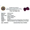 Image 2 : 10.76ctw Pear Mixed Ruby Parcel