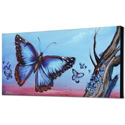 Morpho Butterflies by  Martin Katon