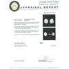 Image 3 : 14KT White Gold 2.95ctw Diamond Stud Earrings