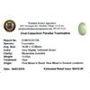 Image 2 : 13.03ctw Cabochon Paraiba Tourmaline Parcel