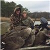 Image 1 : CHESAPEAKE BAY DUCK & GOOSE HUNT FOR FOUR