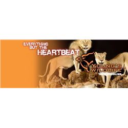 TAXIDERMY CREDIT FOR $1250