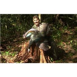 MEXICAN OCELLATED TURKEY