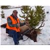 Image 1 : MONTANA ROCKY MOUNTAIN RIFLE OR ARCHERY ELK HUNT