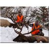 Image 3 : MONTANA ROCKY MOUNTAIN RIFLE OR ARCHERY ELK HUNT