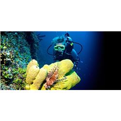 BELIZE SCUBA AND FISHING ADVENTURE FOR TWO