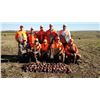 Image 1 : SOUTH DAKOTA PHEASANT HUNT FOR FOUR