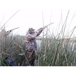 ARGENTINE DUCK HUNTING