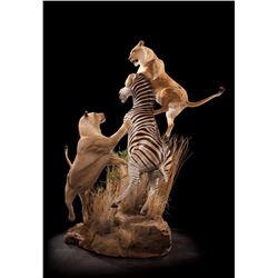 $1000 TAXIDERMY CREDIT