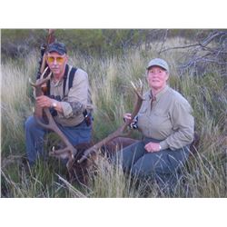 TROPHY RED STAG HUNT IN ARGENTINA