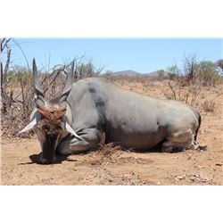 NAMIBIAN PLAINS GAME SAFARI