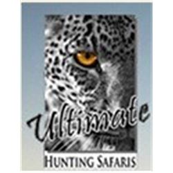 SOUTH AFRICAN CAPE BUFFALO SAFARI