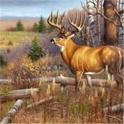 ARTWORK-A CAUTIOUS APPROACH