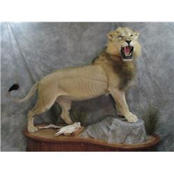 TAXIDERMY CREDIT FOR $1000