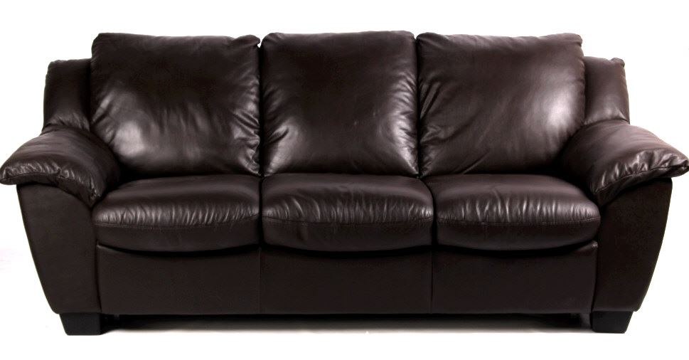 Plush Leather Sleeper Sofa Near New Condition