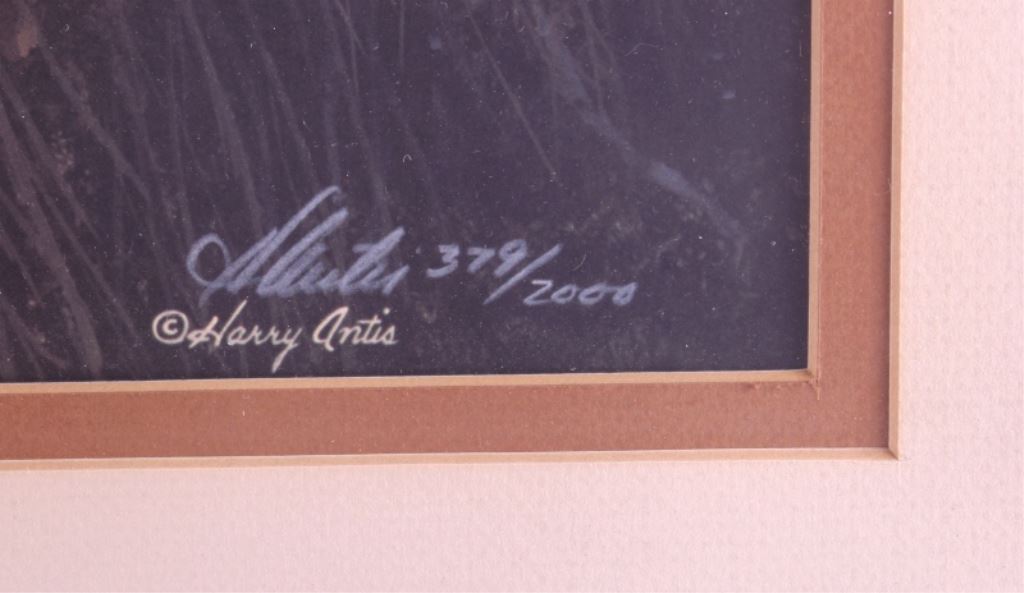 Harry Antis Limited Edition Framed Print