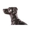 Image 6 : Antique American Hunting Dog Bronze