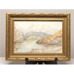 Irish Watercolor Signed F.E. Cox. 22