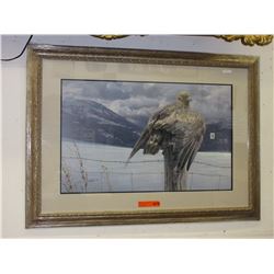 Limited edition Daniel Smith print - Wings of Gold