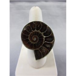 Custom Made - Ammonite fossil ring