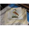 Image 1 : 10 Frameable bird prints