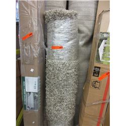 Used shag carpet - beige