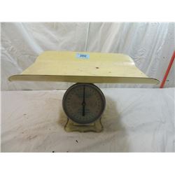 VINTAGE AMERICAN FAMILY NURSERY SCALE